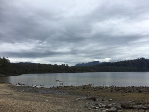 Tasmanie: J4 Lac Saint Clair / Launceston